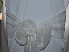 Organza Chair Sash